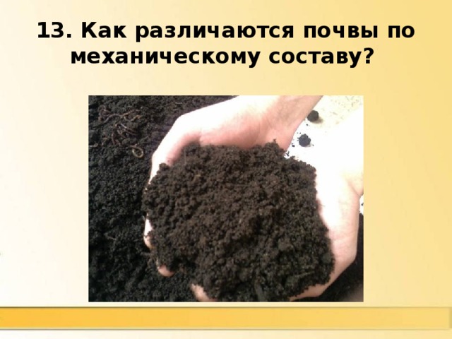 13. Как различаются почвы по механическому составу?  Пески, супеси, суглинки, глины 