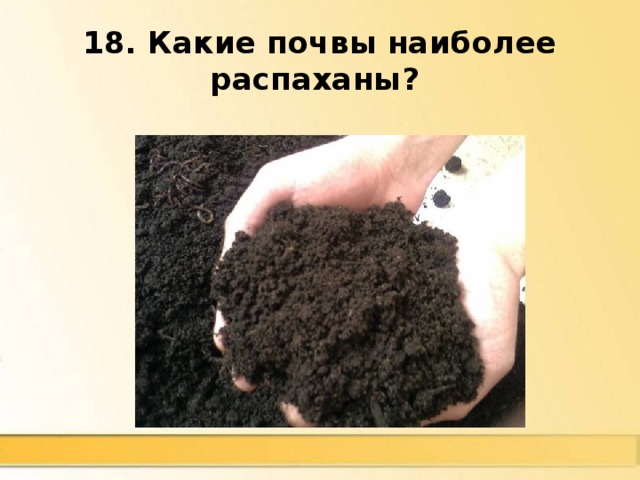 18. Какие почвы наиболее распаханы? Черноземы 