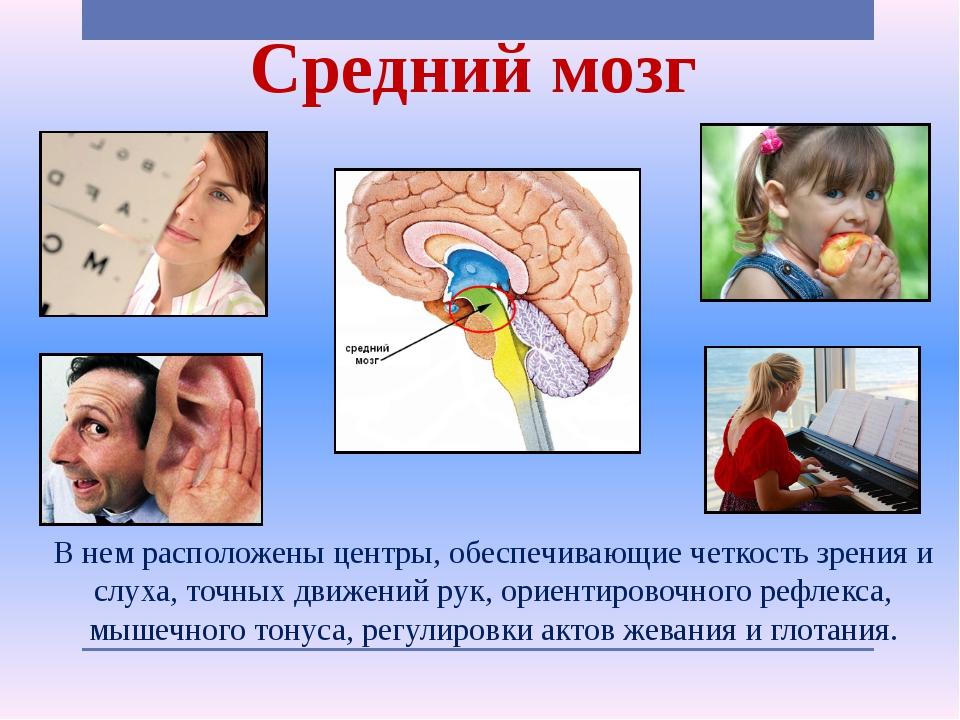 Принципы работы анализаторов