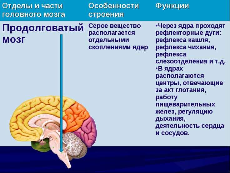 [PUNIQRANDLINE-(au-dating-names.txt) 57 Реферат на тему кора больших полушарий головного мозга 2830