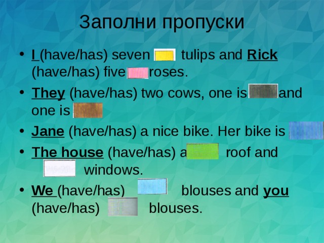 I (have/has) seven  tulips and Rick (have/has) five  roses. They (have/has) two cows, one is  and one is Jane (have/has) a nice bike. Her bike is The house (have/has) a  roof and   windows. We (have/has)   blouses and you (have/has)   blouses. 
