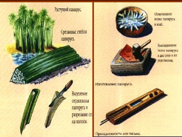 Какова технология изготовления папируса