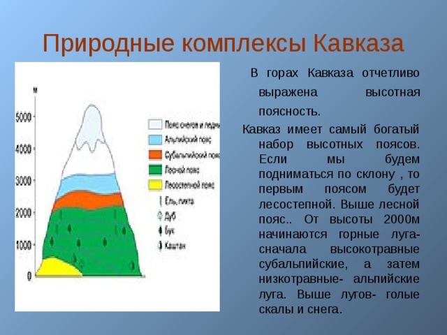 Природные зоны кавказских гор таблица. Кавказские горы Высотная поясность. Высотная поясность Северного Кавказа. ВЫСОТНОЙ поясности горных Кавказа.