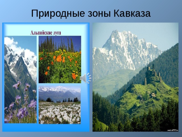 Природные зоны Кавказа 