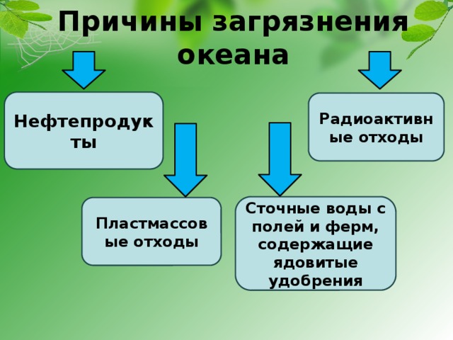 Мир глазами эколога