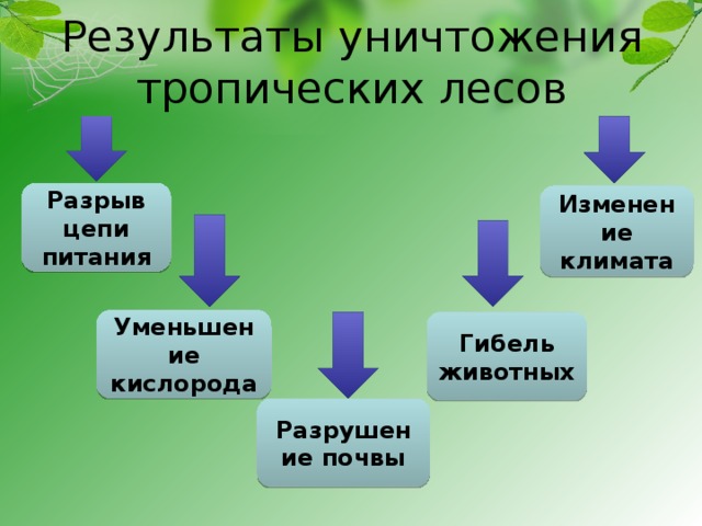 Производственные критерии отбора инновационного проекта включают данные о