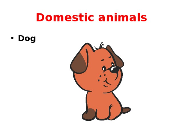 Domestic animals Dog 