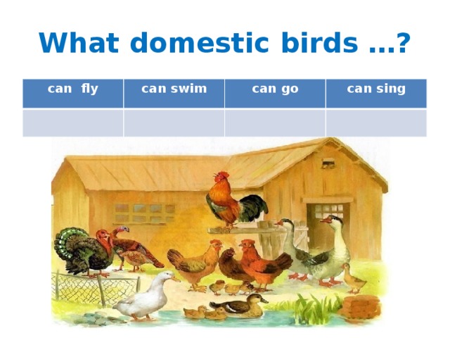 What domestic birds …? can fly can swim can go can sing 