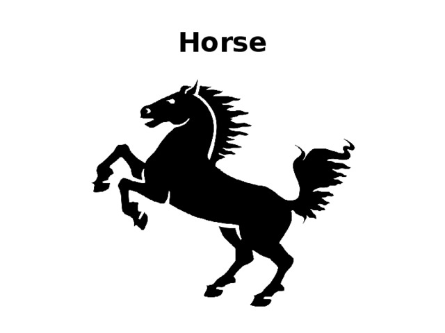 Horse 