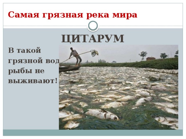 Самая грязная река мира ЦИТАРУМ В такой грязной воде рыбы не выживают!