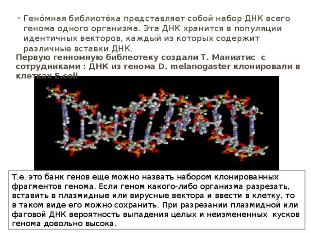 Геномная днк человека норма у мужчин