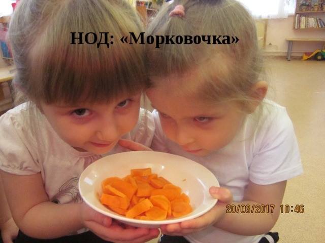 НОД: «Морковочка» 