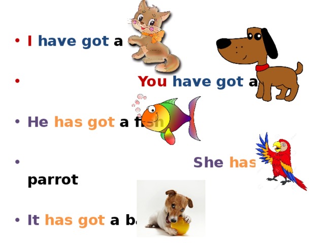 Have you got a. I have got a Cat. She has got a Dog. Have got has got i a Dog. She has got.