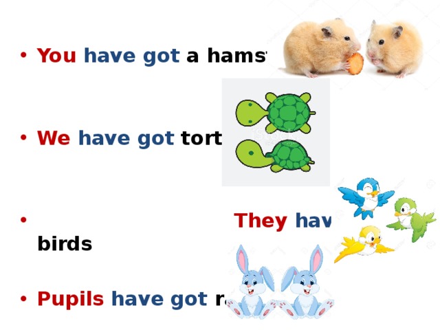 You  have got a hamsters   We  have got tortoises    They  have got birds  Pupils  have got rabbits 