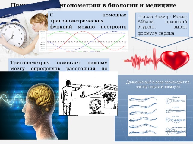 Тригонометрия в медицине картинки