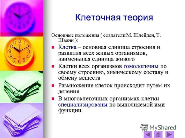 Клеточная теория шванна и шлейдена презентация