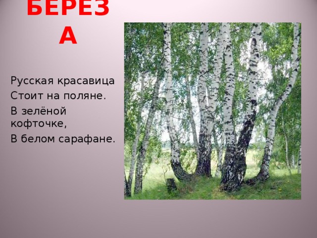 Зеленые кофточке в белом сарафане