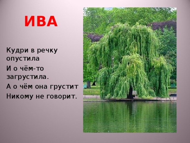 Кудри в речку опустила и о чем-то загрустила о чем она грустит никому не говорить