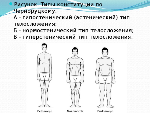 Рисунок. Типы конституции по Черноруцкому.                       А - гипостенический (астенический) тип телосложения;   Б - нормостенический тип телосложения;   В - гиперстенический тип телосложения. 