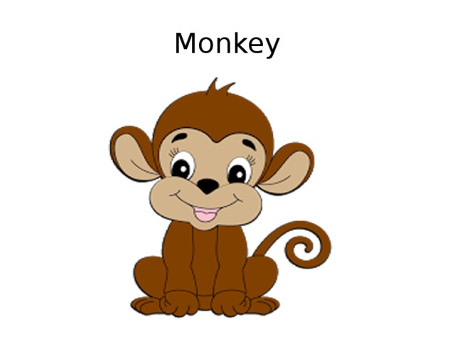 Monkey 
