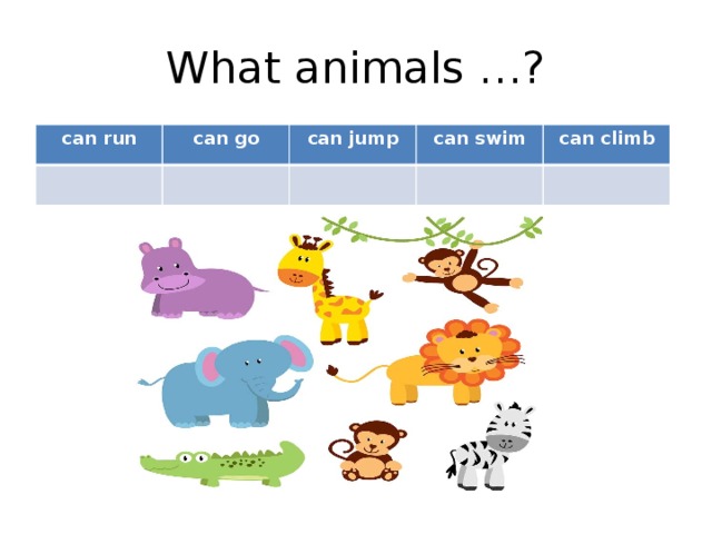 What do animals live