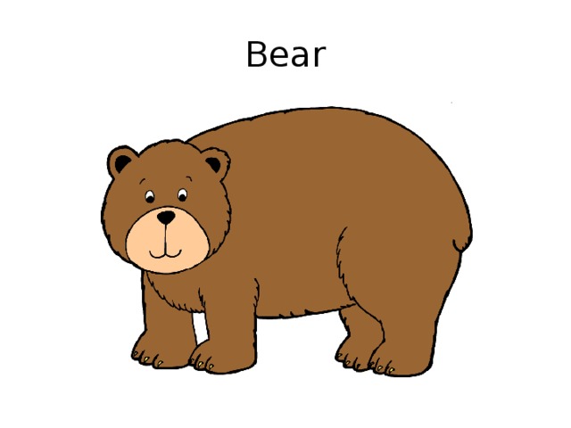 Bear 