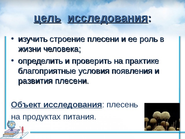 Исследования условий образования и роста плесени на хлебе проект