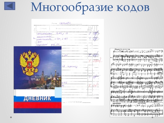 Многообразие кодов