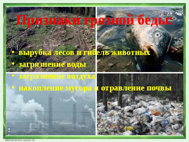 Признаки грозной беды: вырубка лесов и гибель животных загрязнение воды загрязнение воздуха накопление мусора и отравление почвы 