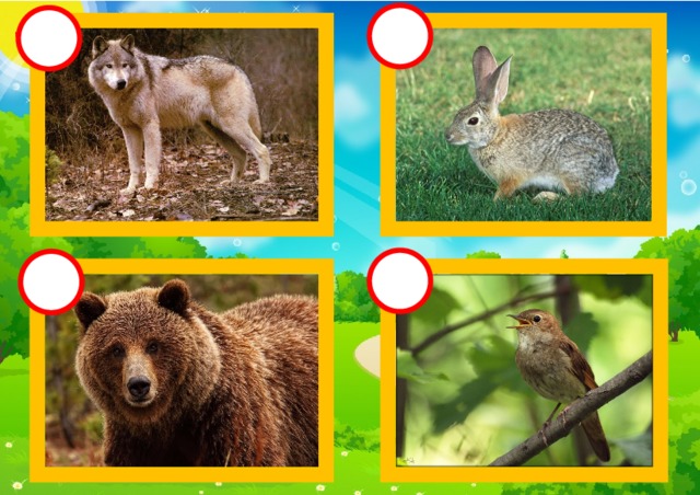 Выберите лишнее животное в природной зоне. 4 Лишний Лесные животные. Игра четвертый лишний животный мир. Игра четвертый лишний про лес. Дидактическая игра четвертый лишний лес.