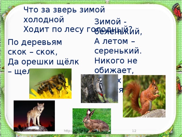 Тесты какие бывают животные 2 класс окружающий. «По деревьям скок – скок». По деревьям скок скок да орешки щелк щелк. Загадка по деревьям скок скок. По деревьям скок да скок живой порхает огонек загадка.