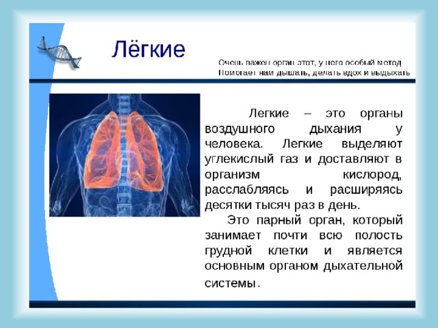 Волосы легкие что это значит