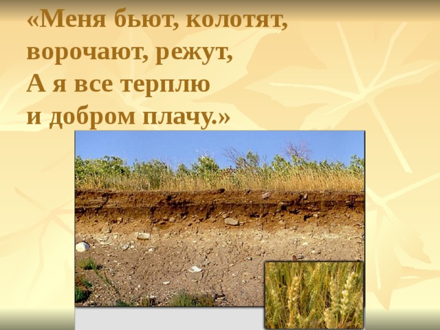 «Меня бьют, колотят, ворочают, режут,  А я все терплю  и добром плачу.»   