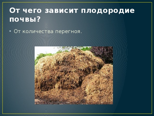 От чего зависит плодородие почвы? От количества перегноя. 