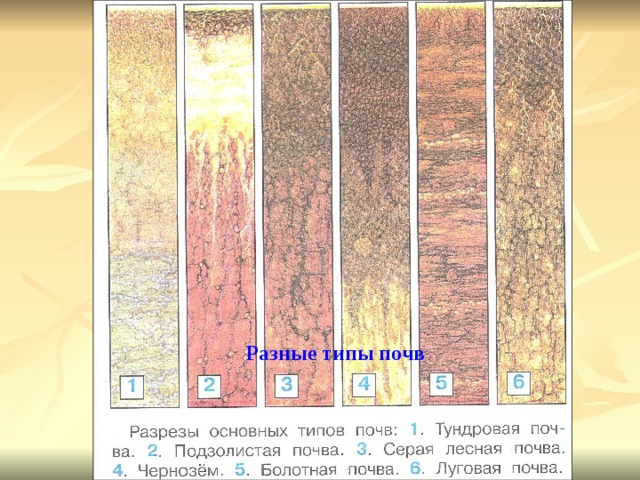 Разные типы почв 