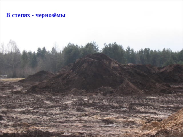 В степях - чернозёмы 