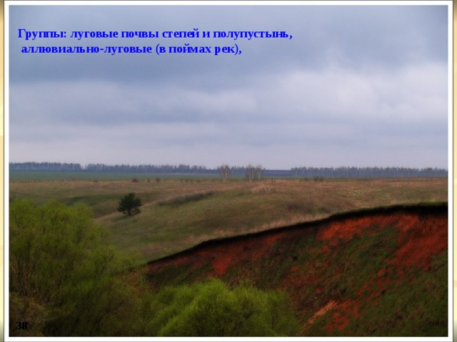 Группы: луговые почвы степей и полупустынь,  аллювиально-луговые (в поймах рек),  38 