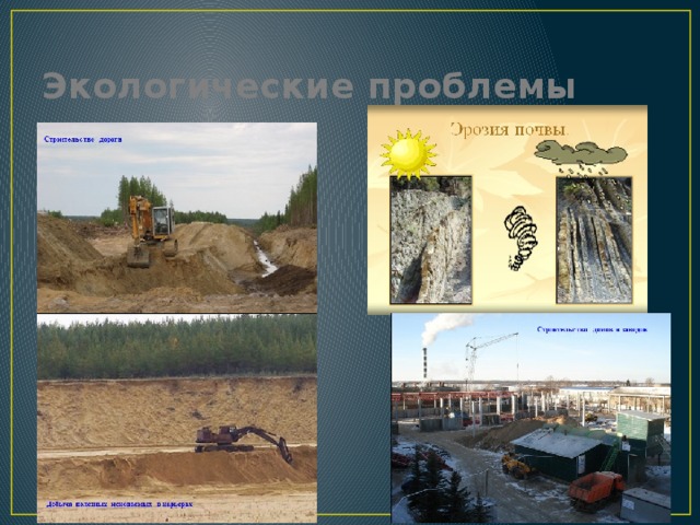 Экологические проблемы 