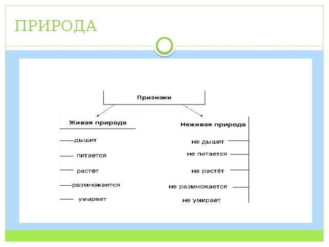 Заполни схему царство живой природы окружающий мир 2 класс