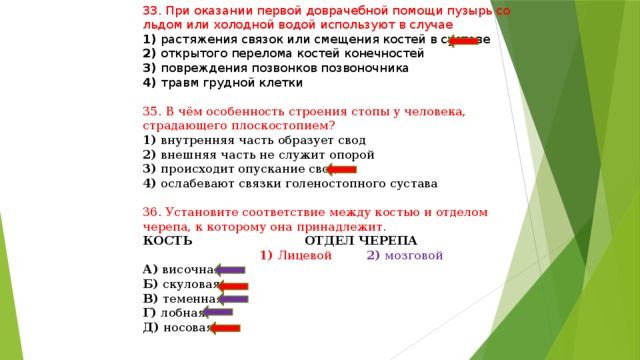 33. При оказании первой доврачебной помощи пузырь со льдом или холодной водой используют в случае 1) растяжения связок или смещения костей в суставе 2) открытого перелома костей конечностей 3) повреждения позвонков позвоночника 4) травм грудной клетки 35. В чём особенность строения стопы у человека, страдающего плоскостопием? 1) внутренняя часть образует свод 2) внешняя часть не служит опорой 3) происходит опускание свода 4) ослабевают связки голеностопного сустава 36. Установите соответствие между костью и отделом черепа, к которому она принадлежит. КОСТЬ ОТДЕЛ ЧЕРЕПА  1) Лицевой 2) мозговой А) височная Б) скуловая В) теменная Г) лобная Д) носовая 