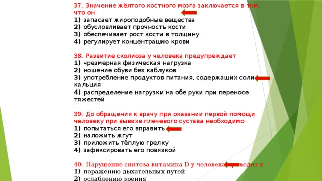 37. Значение жёлтого костного мозга заключается в том, что он 1) запасает жироподобные вещества 2) обусловливает прочность кости 3) обеспечивает рост кости в толщину 4) регулирует концентрацию крови 38. Развитие сколиоза у человека предупреждает 1) чрезмерная физическая нагрузка 2) ношение обуви без каблуков 3) употребление продуктов питания, содержащих соли кальция 4) распределение нагрузки на обе руки при переносе тяжестей 39. До обращения к врачу при оказании первой помощи человеку при вывихе плечевого сустава необходимо 1) попытаться его вправить 2) наложить жгут 3) приложить тёплую грелку 4) зафиксировать его повязкой 40. Нарушение синтеза витамина D у человека приводит к 1) поражению дыхательных путей 2) ослаблению зрения 3) уменьшению содержания солей кальция в костях 4) расстройствам рефлекторной деятельности нервной системы 