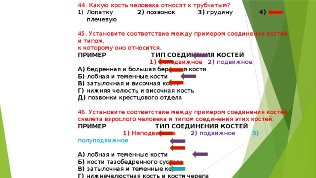 44. Какую кость человека относят к трубчатым? Лопатку 2) позвонок 3) грудину 4) плечевую 45. Установите соответствие между примером соединения костей и типом, к которому оно относится. ПРИМЕР ТИП СОЕДИНЕНИЯ КОСТЕЙ   1) Неподвижное 2) подвижное А) бедренная и большая берцовая кости Б) лобная и теменные кости В) затылочная и височная кости Г) нижняя челюсть и височная кость Д) позвонки крестцового отдела 46. Установите соответствие между примером соединения костей скелета взрослого человека и типом соединения этих костей. ПРИМЕР ТИП СОЕДИНЕНИЯ КОСТЕЙ  1) Неподвижное 2) подвижное 3) полуподвижное  А) лобная и теменные кости Б) кости тазобедренного сустава В) затылочная и теменные кости Г) нижнечелюстная кость и кости черепа Д) позвонки крестцового отдела Е) позвонки поясничного отдела 