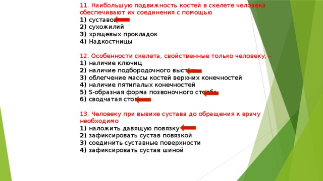 11. Наибольшую подвижность костей в скелете человека обеспечивают их соединения с помощью 1) суставов 2) сухожилий 3) хрящевых прокладок 4) Надкостницы 12. Особенности скелета, свойственные только человеку, – 1) наличие ключиц 2) наличие подбородочного выступа 3) облегчение массы костей верхних конечностей 4) наличие пятипалых конечностей 5) S-образная форма позвоночного столба 6) сводчатая стопа 13. Человеку при вывихе сустава до обращения к врачу необходимо 1) наложить давящую повязку 2) зафиксировать сустав повязкой 3) соединить суставные поверхности 4) зафиксировать сустав шиной 