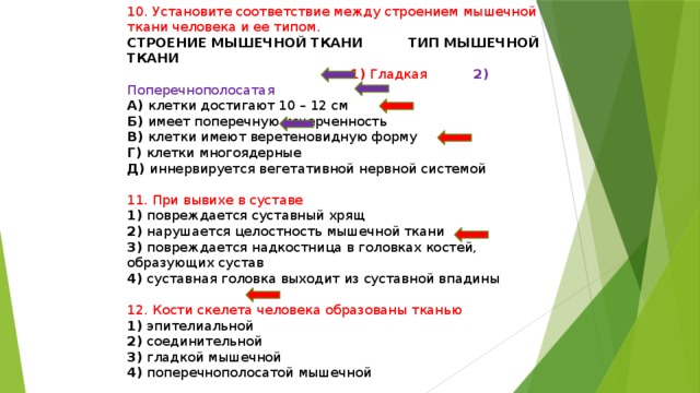 10. Установите соответствие между строением мышечной ткани человека и ее типом. СТРОЕНИЕ МЫШЕЧНОЙ ТКАНИ ТИП МЫШЕЧНОЙ ТКАНИ  1) Гладкая 2) Поперечнополосатая А) клетки достигают 10 – 12 см Б) имеет поперечную исчерченность В) клетки имеют веретеновидную форму Г) клетки многоядерные Д) иннервируется вегетативной нервной системой 11. При вывихе в суставе 1) повреждается суставный хрящ 2) нарушается целостность мышечной ткани 3) повреждается надкостница в головках костей, образующих сустав 4) суставная головка выходит из суставной впадины 12. Кости скелета человека образованы тканью 1) эпителиальной 2) соединительной 3) гладкой мышечной 4) поперечнополосатой мышечной 