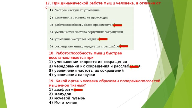 17. При динамической работе мышц человека, в отличие от статической,      1)      быстрее наступает утомление   2)      движения в суставах не происходит   3)         работоспособность более продолжительна   4)        5)   уменьшается частота сердечных сокращений   6)   утомление наступает медленно сокращение мышц чередуется с расслаблением 18. Работоспособность мышц быстрее восстанавливается при 1) уменьшении скорости их сокращения 2) чередовании их сокращения и расслабления 3) увеличении частоты их сокращений 4) увеличении нагрузки 19. Какой орган человека образован поперечнополосатой мышечной тканью? 1) диафрагма 2) желудок 3) мочевой пузырь 4) Мочеточник 