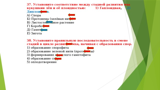 37. Установите соответствие между стадией развития мха кукушкин лён и её плоидностью: 1) Гаплоидная , 2) Диплоидная.  А) Спора  Б) Протонема (зелёная нить)  В) Листостебельное растение  Г) Коробочка  Д) Гаметы  Е) Зигота  38. Установите правильную последовательность в смене стадий в цикле развития мха, начиная с образования спор.  1) образование спорофита  2) образование зеленой нити (протонемы)  3) формирование взрослого гаметофита  4) образование спор  5) оплодотворение 