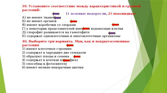 39. Установите соответствие между характеристикой и группой растений:  1) зеленые водоросли, 2) моховидные  А) не имеют тканей  Б) не имеют органов  В) имеют коробочки со спорами  Г) у некоторых представителей имеются водоносные клетки  Д) спорофит развивается на гаметофите  Е) содержат одноклеточные и многоклеточные организмы 40. Выберите три варианта. Мхи, как и покрытосеменные растения  1) имеют клеточное строение  2) содержат в зародыше две семядоли  3) образуют плоды и семена  4) содержат в клетках хлорофилл  5) способны к фотосинтезу  6) имеют мелкие невзрачные цветки 