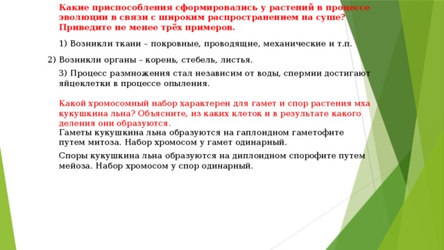 Какие приспособления сформировались у растений в процессе эволюции в связи с широким распространением на суше? Приведите не менее трёх примеров. 1) Возникли ткани – покровные, проводящие, механические и т.п. 2) Возникли органы – корень, стебель, листья. 3) Процесс размножения стал независим от воды, спермии достигают яйцеклетки в процессе опыления. Какой хромосомный набор характерен для гамет и спор растения мха кукушкина льна? Объясните, из каких клеток и в результате какого деления они образуются. Гаметы кукушкина льна образуются на гаплоидном гаметофите путем митоза. Набор хромосом у гамет одинарный. Споры кукушкина льна образуются на диплоидном спорофите путем мейоза. Набор хромосом у спор одинарный. 