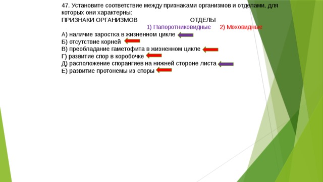 47. Установите соответствие между признаками организмов и отделами, для которых они характерны: ПРИЗНАКИ ОРГАНИЗМОВ ОТДЕЛЫ   1) Папоротниковидные 2) Моховидные А) наличие заростка в жизненном цикле Б) отсутствие корней В) преобладание гаметофита в жизненном цикле Г) развитие спор в коробочке Д) расположение спорангиев на нижней стороне листа Е) развитие протонемы из споры 