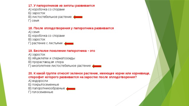 17. У папоротников из зиготы развивается  А) коробочка со спорами  Б) заросток  В) листостебельное растение  Г) семя 18. После оплодотворения у папоротника развивается  А) семя  Б) коробочка со спорами  В) заросток  Г) растение с листьями 19. Бесполое поколение папоротника – это  А) заросток  Б) яйцеклетки и сперматозоиды  В) прорастающая спора  Г) многолетнее листостебельное растение 20. К какой группе относят зеленое растение, имеющее корни или корневище, спорофит которого развивается на заростке после оплодотворения?  А) водоросли  Б) покрытосеменные  В) папоротникообразные  Г) голосеменные 